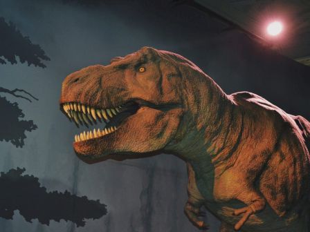 An image of a Tyrannosaurus rex model with a spotlight, simulating