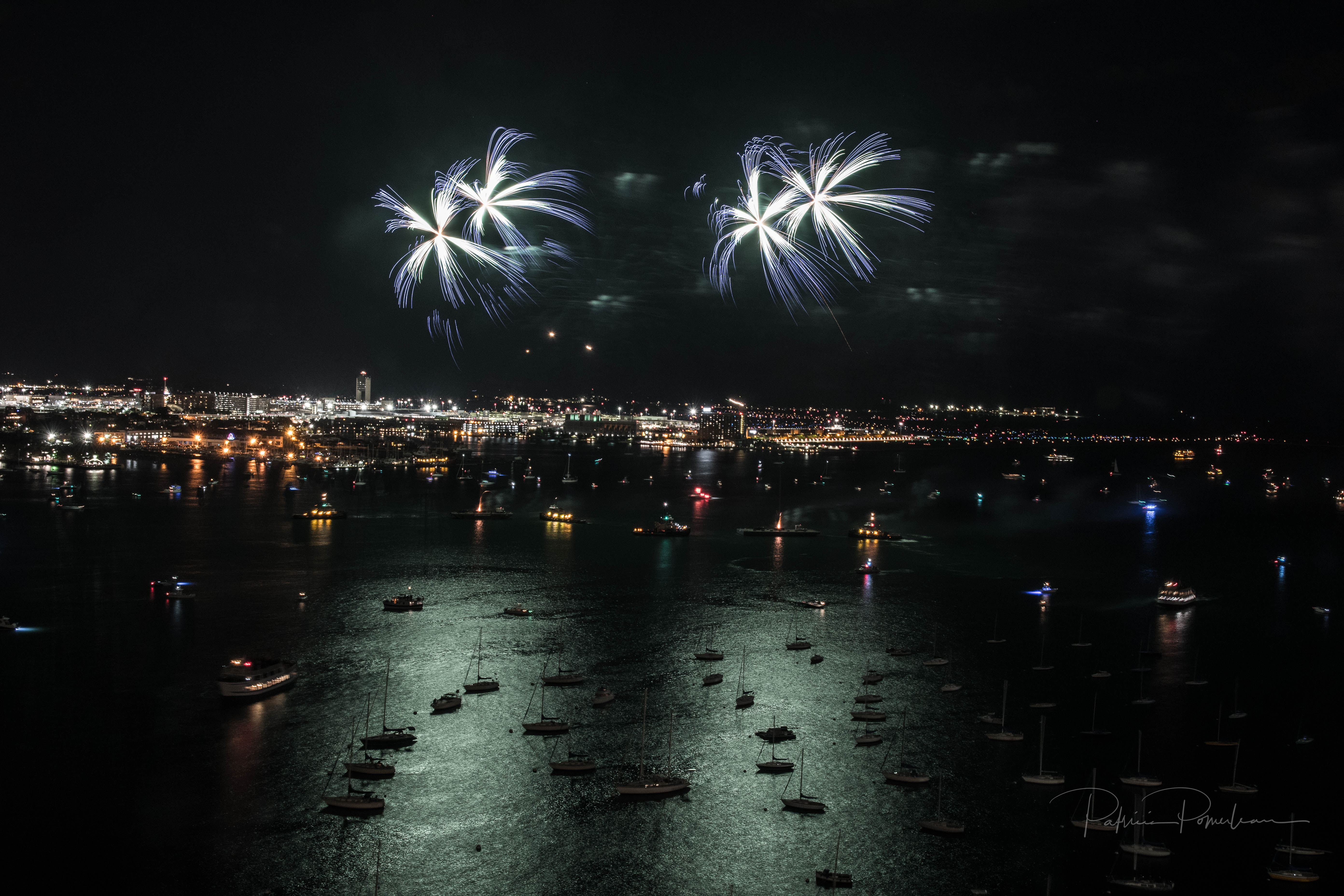 Fireworks bursting in the air over the ocean.