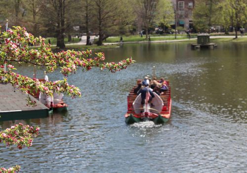 A group of people are enjoying a boat ride on a serene lake surrounded by greenery and blossoming tree branches in springtime.