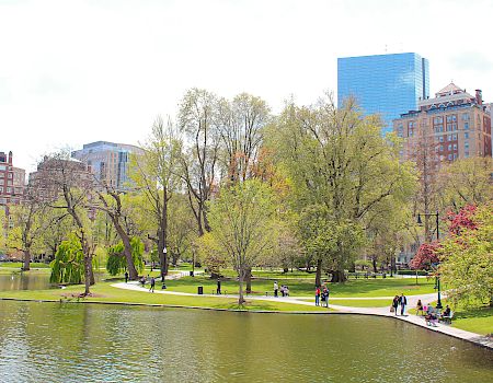 Park in Boston with view of water